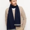 Charlie Cashmere Scarf In Navy