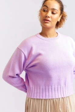 Tootsie Cotton Sweater In Hyacinth 11 Tootsie Cotton Sweater In Hyacinth -Deux Amies Shop alessandra cashmere sweater tootsie cotton sweater in hyacinth 40440552096038