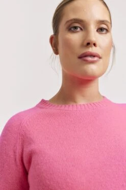 Fifi Crew Cashmere Sweater In Electric Pink 10 Fifi Crew Cashmere Sweater In Electric Pink -Deux Amies Shop alessandra sweater fifi crew cashmere sweater in electric pink 41227920965926